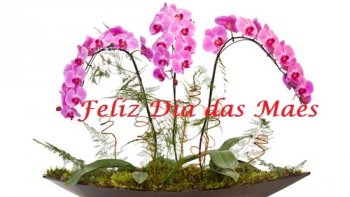 HOMENAGEM AS MES PELA PASSAGEM DO SEU DIA