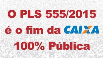 14 DE DEZEMBRO: DIA NACIONAL DE LUTA EM DEFESA DA CAIXA 100% PBLICA E CONTRA O PLS 555 Entidades convocam mobilizao 