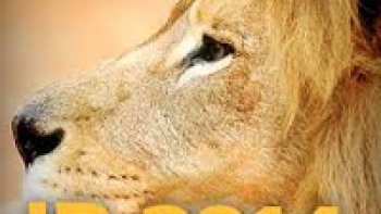 NOVA MEDIDA PROVISRIA SER EDITADA PARA CORRIGIR TABELA DO IRPF 